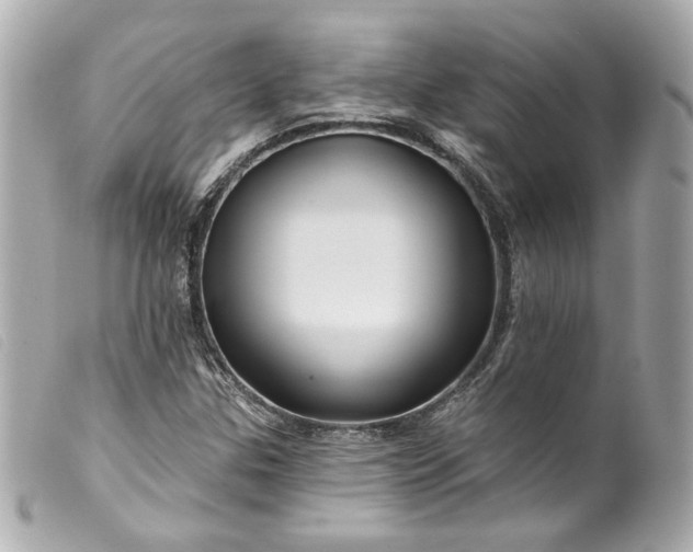 X0000099561307200805301533