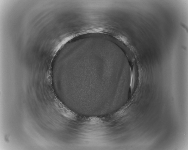 X0000099561308200805301533