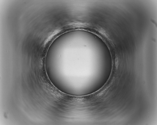 X0000099561309200805301533