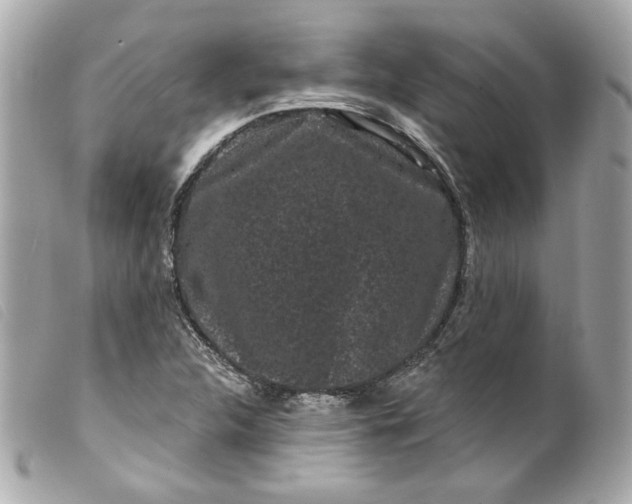 X0000099561312200805301533