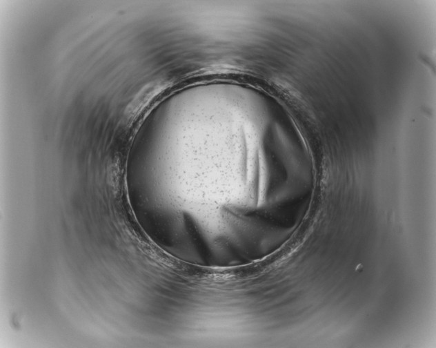 X0000099561313200805301533