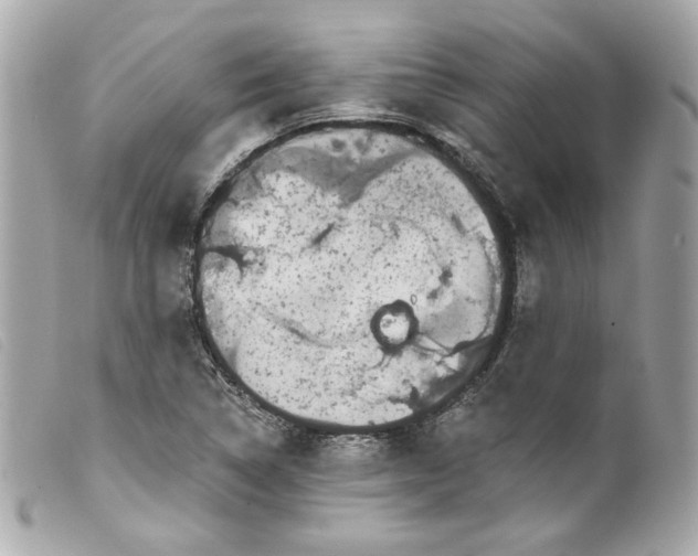 X0000099561314200805301533