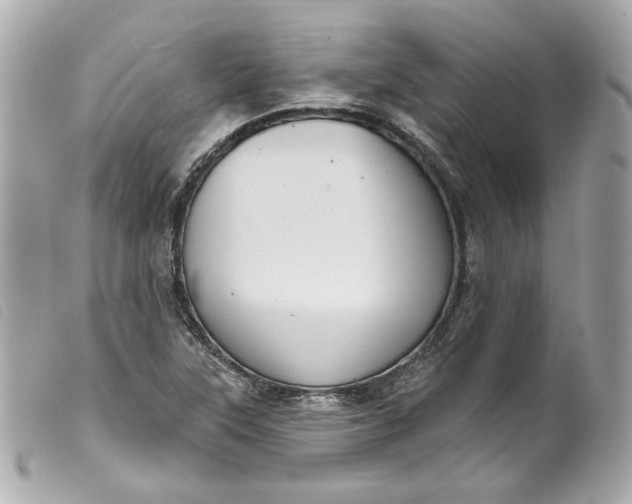 X0000099561315200805301533