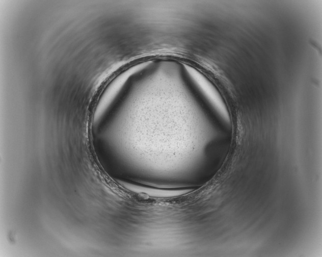 X0000099561316200805301533