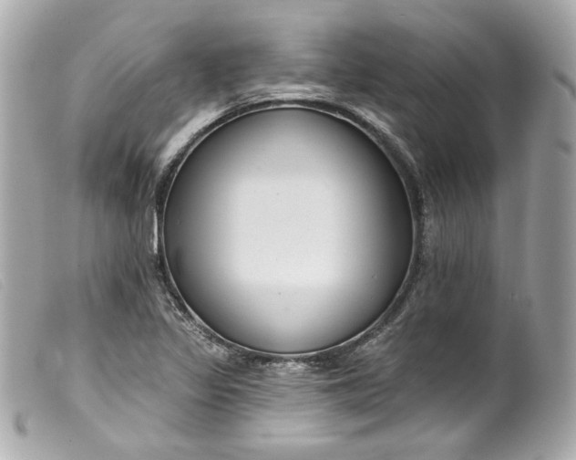 X0000099561317200805301533