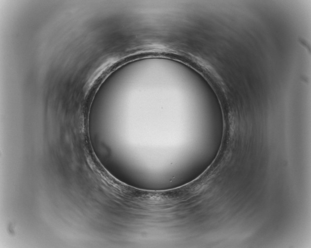 X0000099561318200805301533