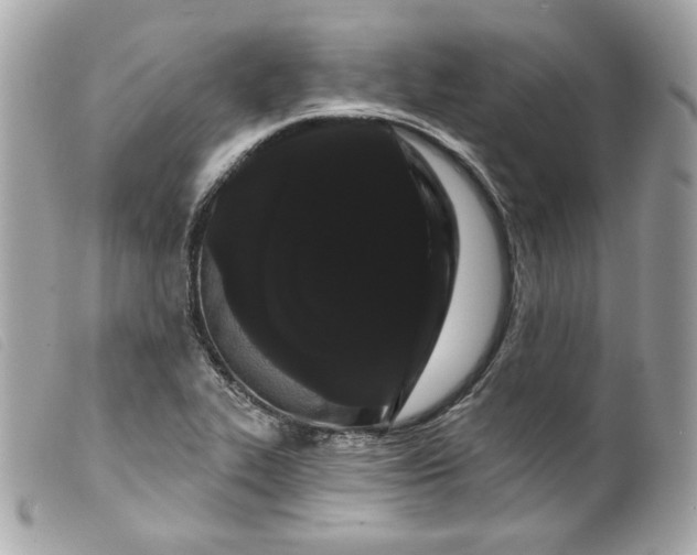 X0000099561319200805301533