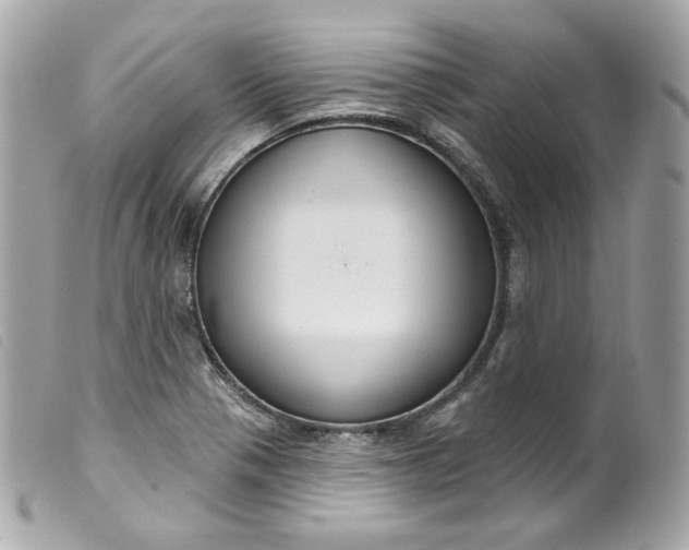 X0000099561321200805301533