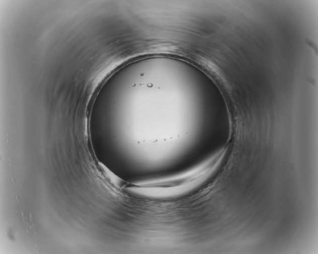 X0000099561324200805301533