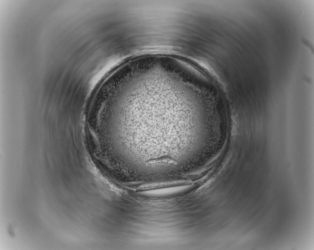 X0000099561325200805301533