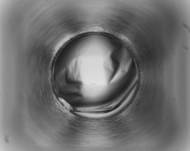 X0000099561326200805301533