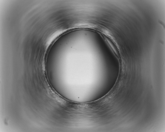 X0000099561328200805301533