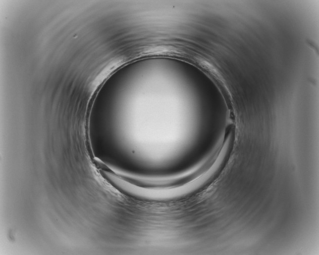 X0000099561330200805301533