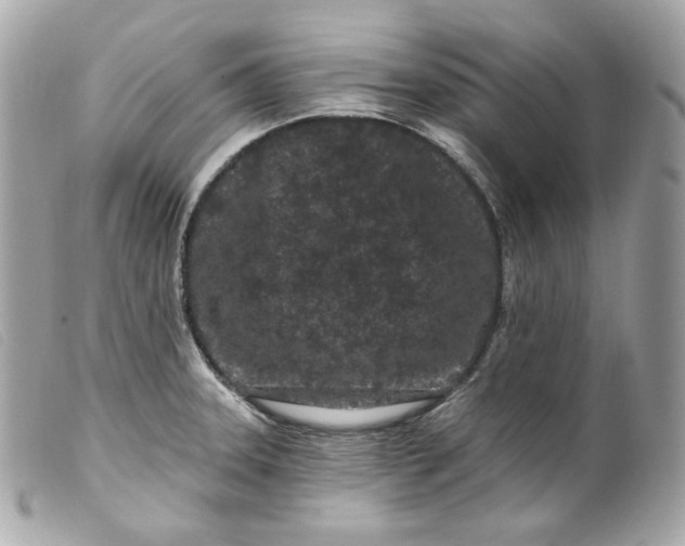 X0000099561331200805301533