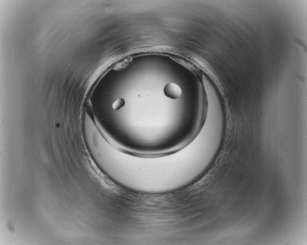 X0000099561332200805301533