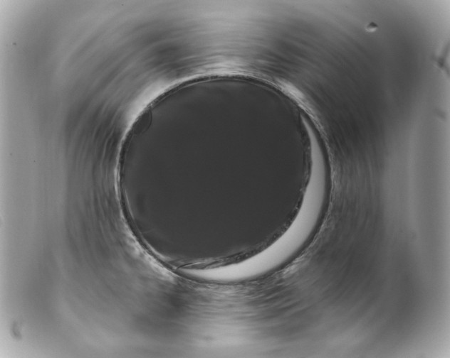 X0000099561334200805301533