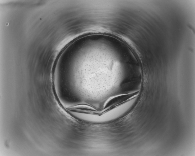 X0000099561335200805301533