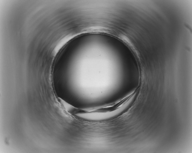 X0000099561336200805301533