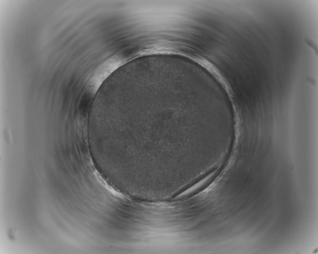 X0000099561337200805301533