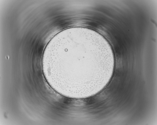 X0000099561338200805301533