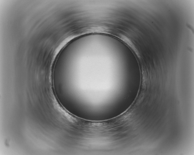 X0000099561339200805301533