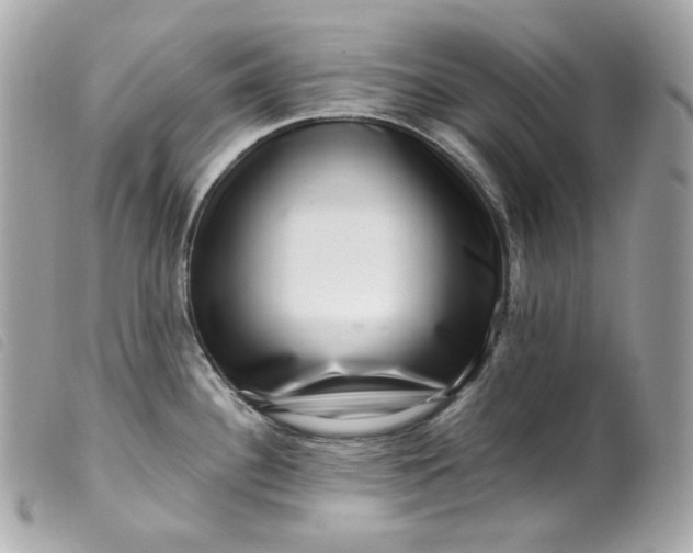 X0000099561340200805301533