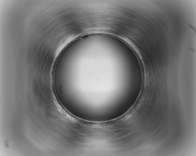 X0000099561341200805301533