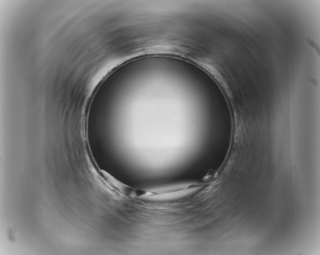 X0000099561342200805301533