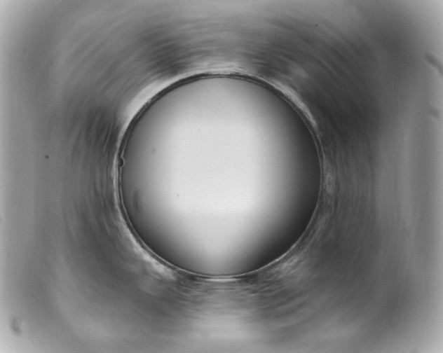 X0000099561343200805301533