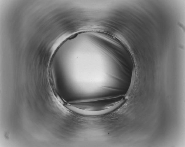 X0000099561344200805301533