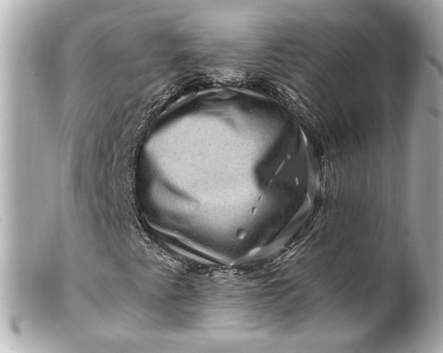 X0000099561345200805301533