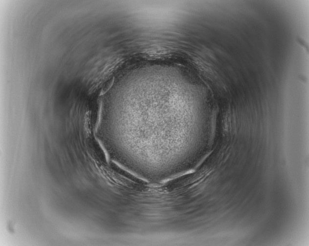 X0000099561346200805301533