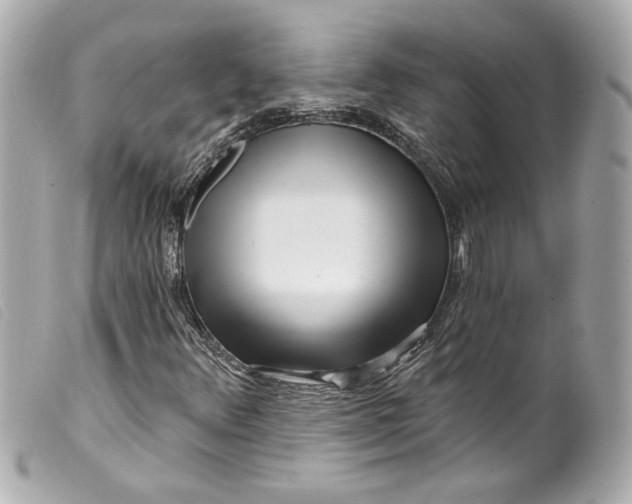 X0000099561348200805301533