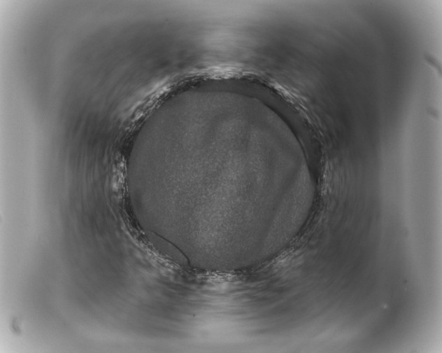 X0000099561349200805301533