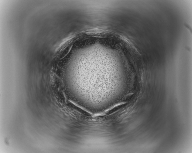 X0000099561350200805301533