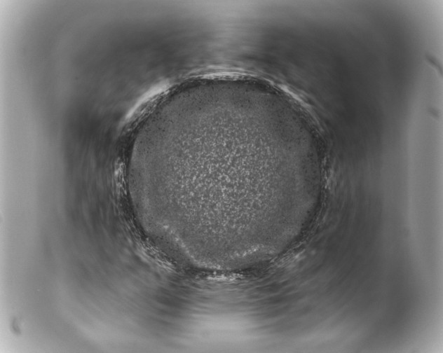 X0000099561351200805301533