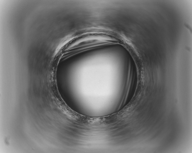 X0000099561352200805301533