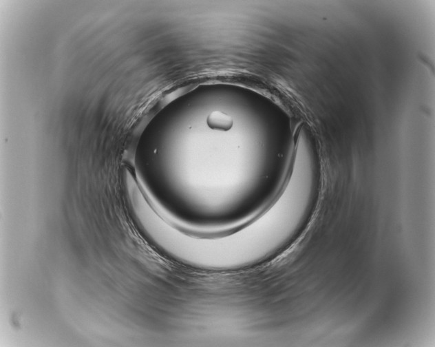 X0000099561353200805301533