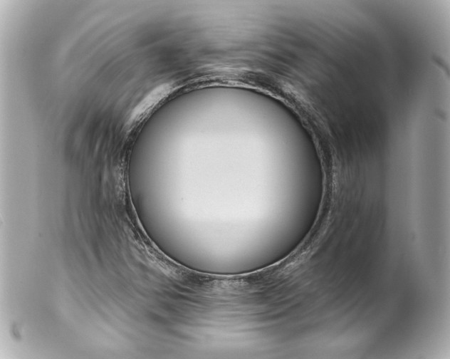 X0000099561354200805301533