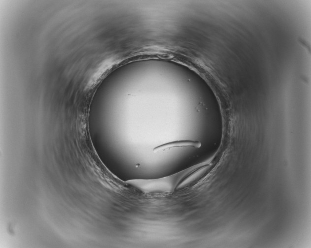 X0000099561355200805301533