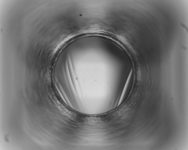 X0000099561356200805301533