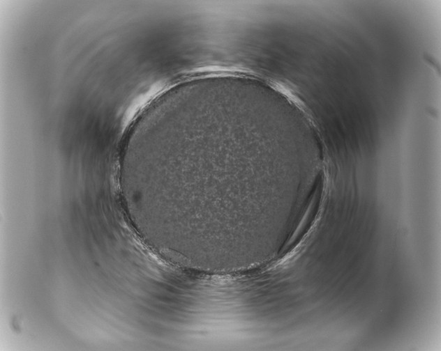 X0000099561357200805301533