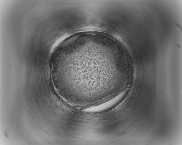 X0000099561358200805301533