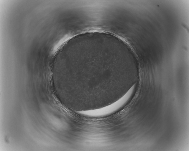 X0000099561359200805301533