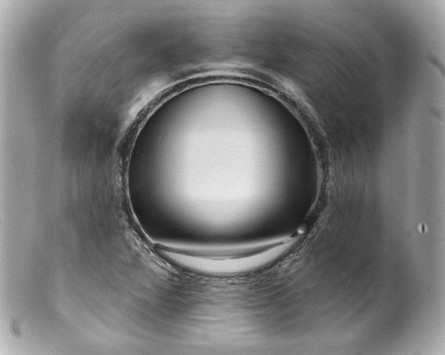 X0000099561360200805301533