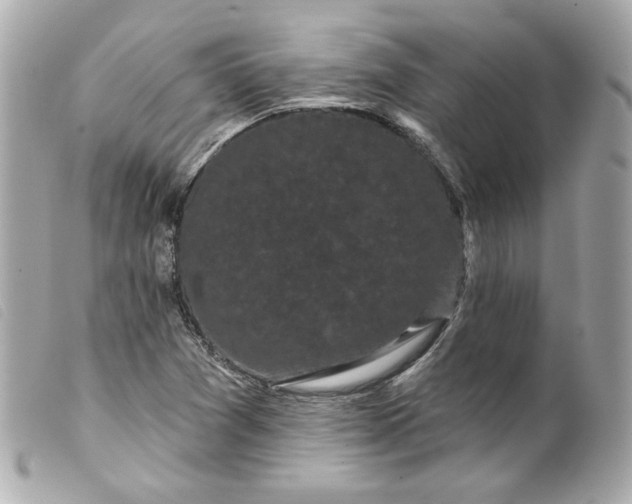 X0000099561361200805301533