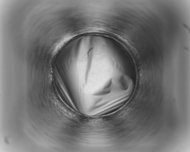 X0000099561363200805301533