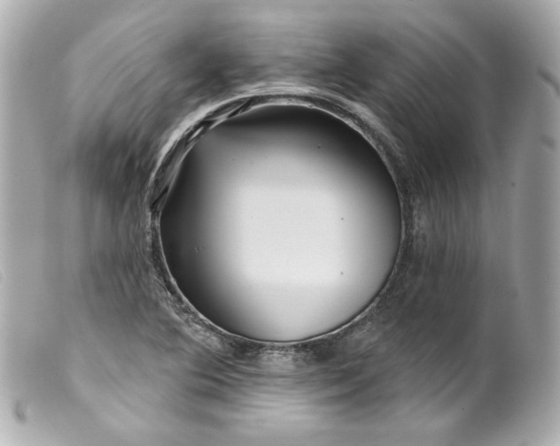 X0000099561364200805301533