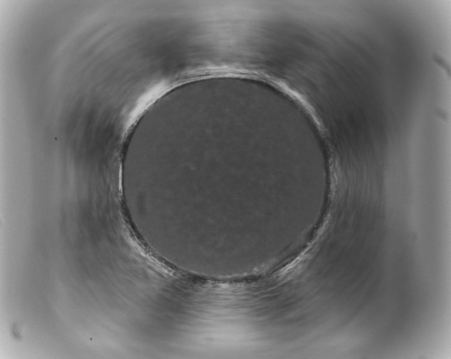 X0000099561365200805301533