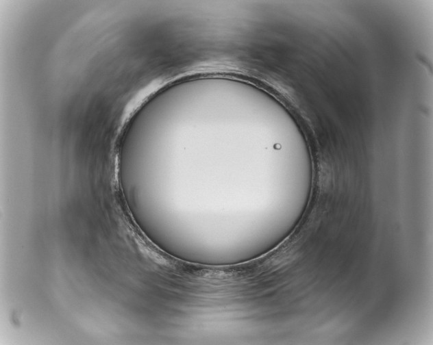 X0000099561366200805301532